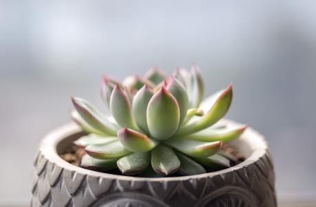 иձͨ ʽշźֱͨ绰