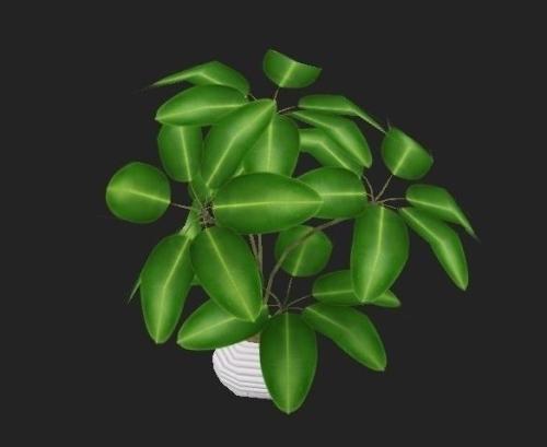 ҹȨͳһǼ202111ʵʩ